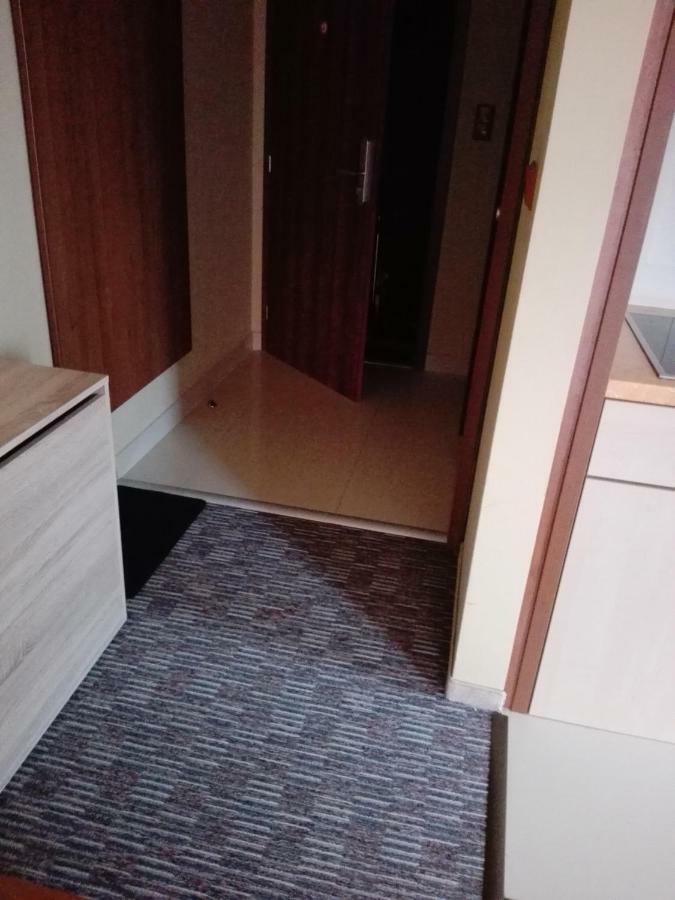 ולקה לומניקה Apartman Fiona מראה חיצוני תמונה